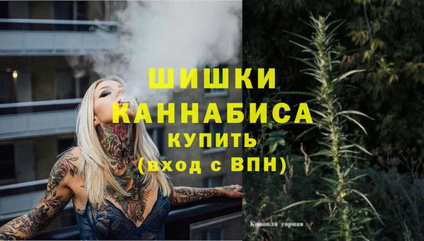гашик Алзамай