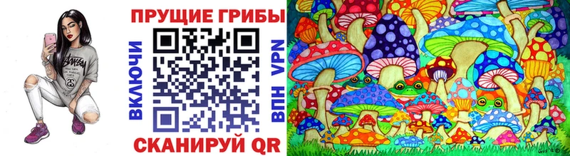 Псилоцибиновые грибы Psilocybe  Тулун 